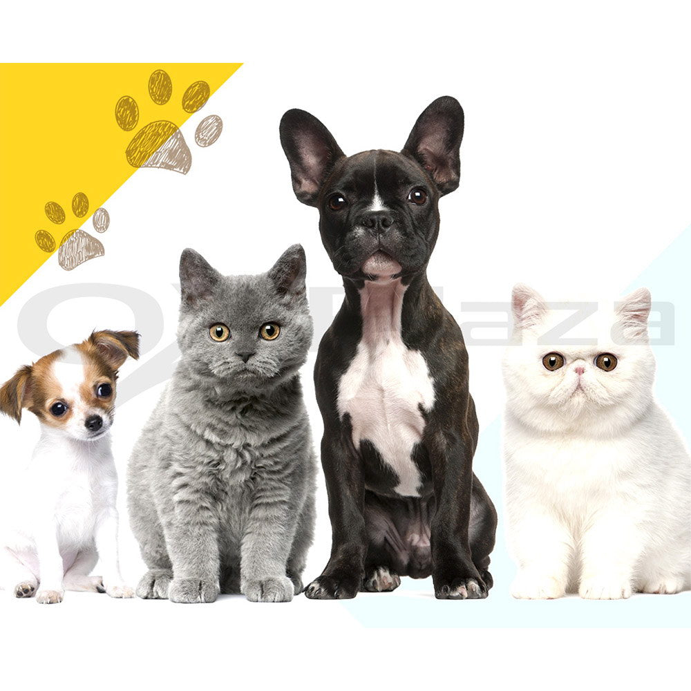 8 Panel Foldable Metal Dog Puppy Playpen Enclosure