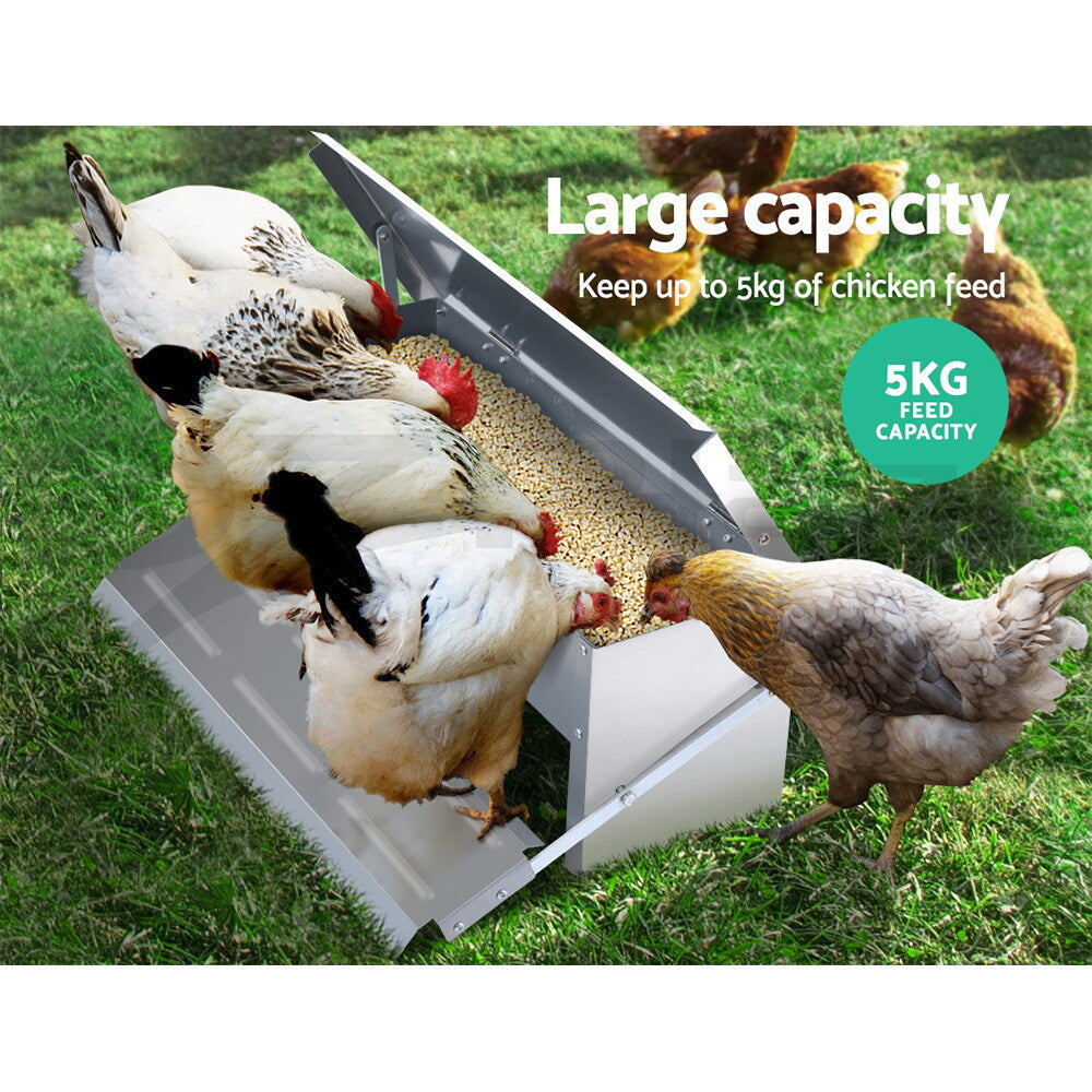 Automatic Chicken Feeder Coop Treadle Self-Opening Poultry