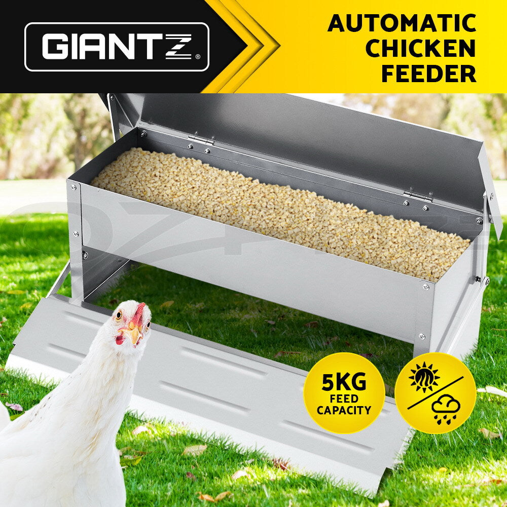 Automatic Chicken Feeder Coop Treadle Self-Opening Poultry