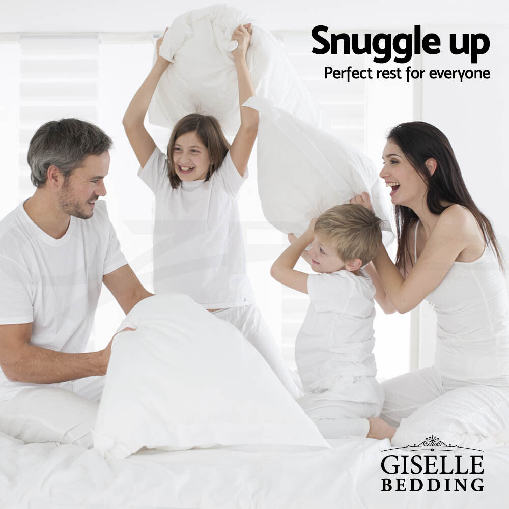 Giselle Duck Down Pillows – Twin Pack with Cotton Cover