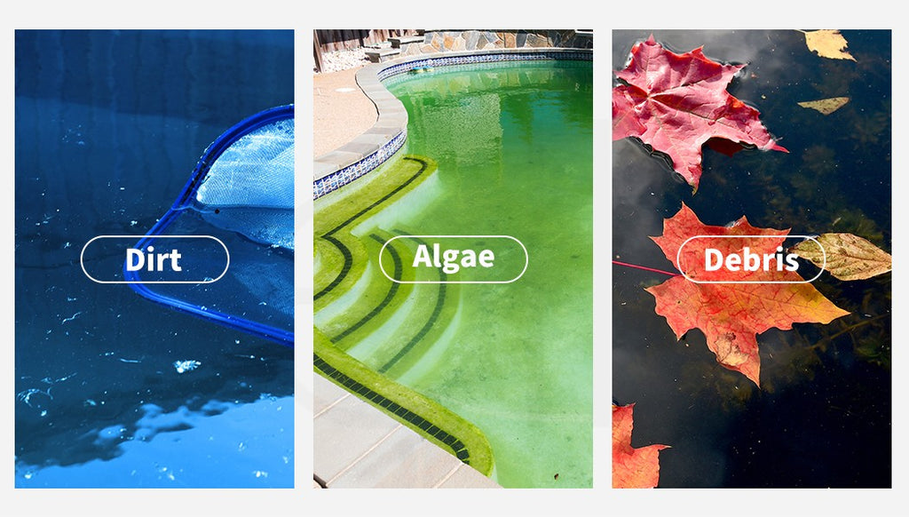 Automatic Swimming Pool Cleaner – Floor & Wall Vacuum with 10m Hose