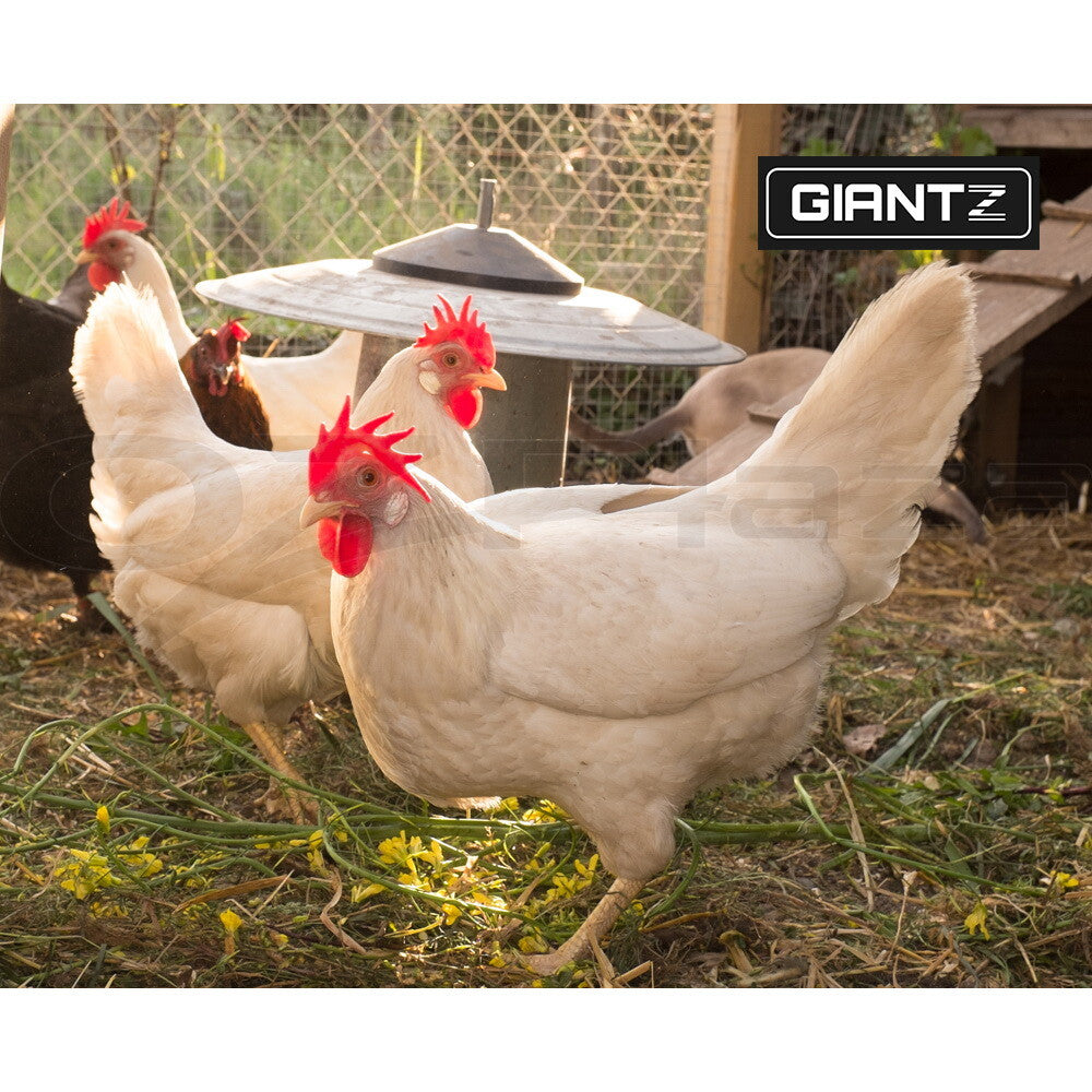 Automatic Chicken Coop Door Opener Timer Auto Light Sensor
