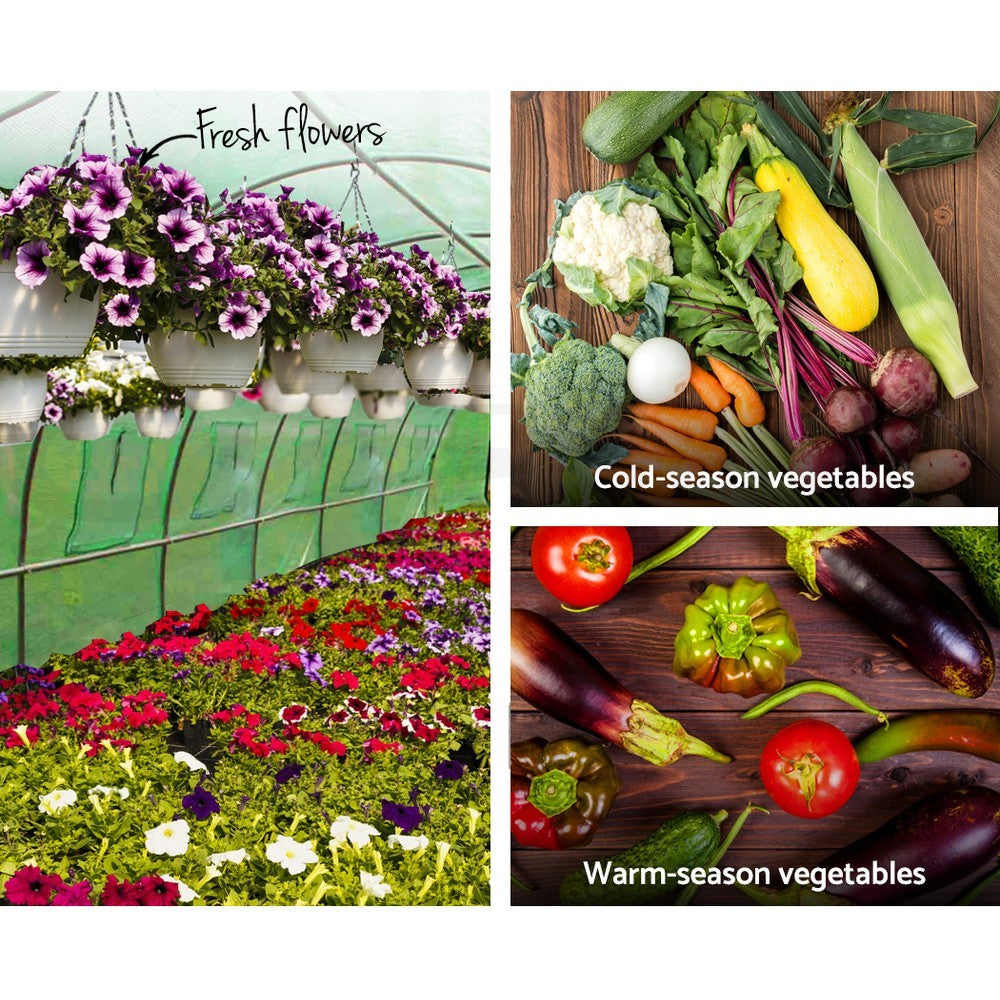 Mini Greenhouse 4 Tier Garden Bed Planter Box