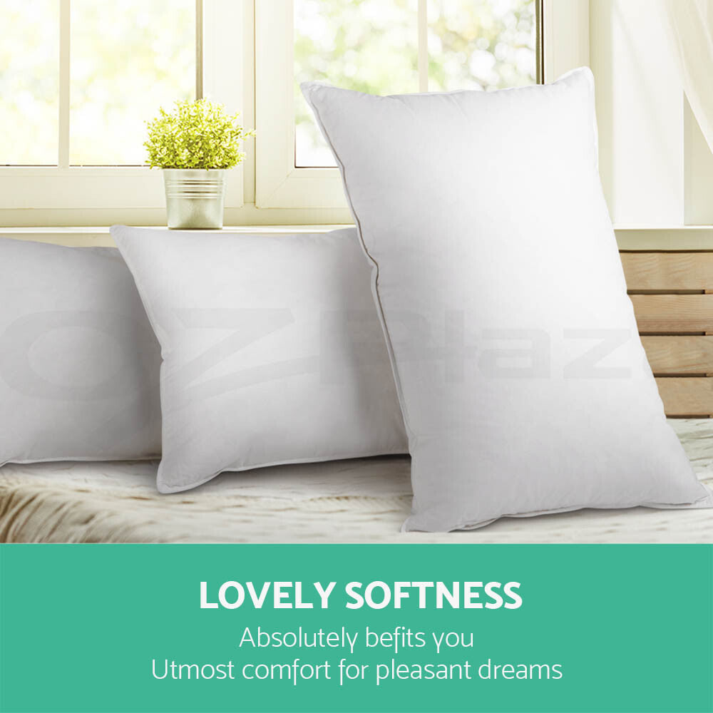 Giselle Duck Down Pillows – Twin Pack with Cotton Cover