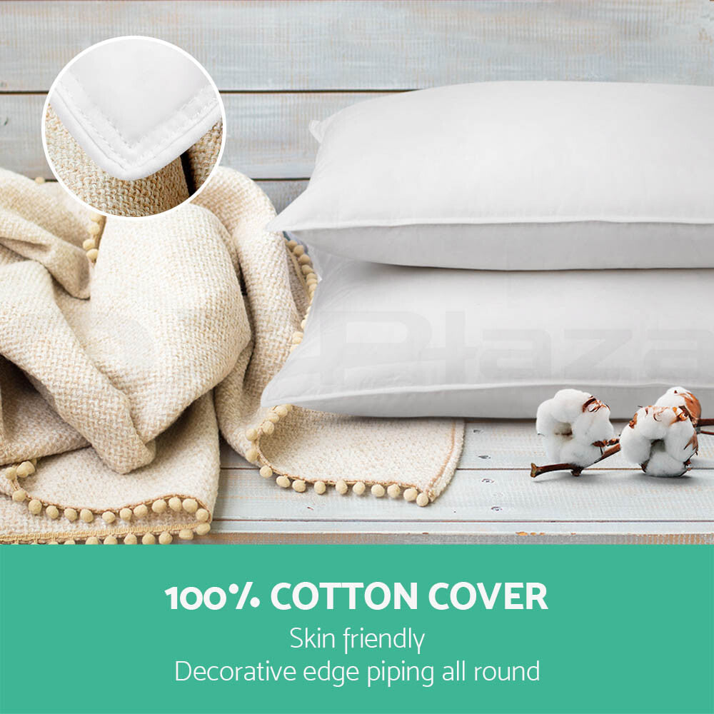 Giselle Duck Down Pillows – Twin Pack with Cotton Cover