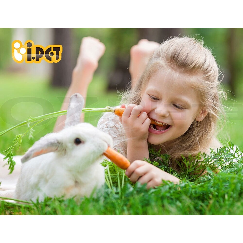 Large Chicken Coop Rabbit Hutch Wooden Outdoor Run Cage
