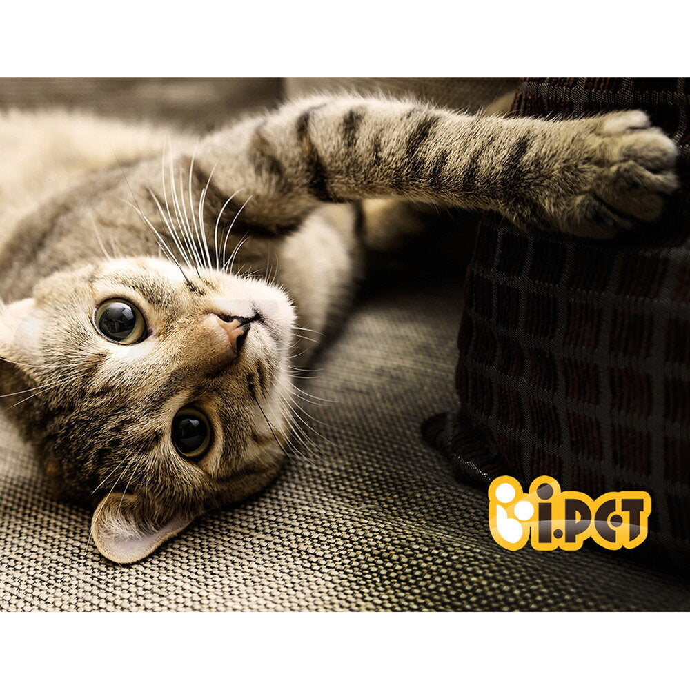 120cm Cat Tree Tower Scratching Post Bed Condo Toys