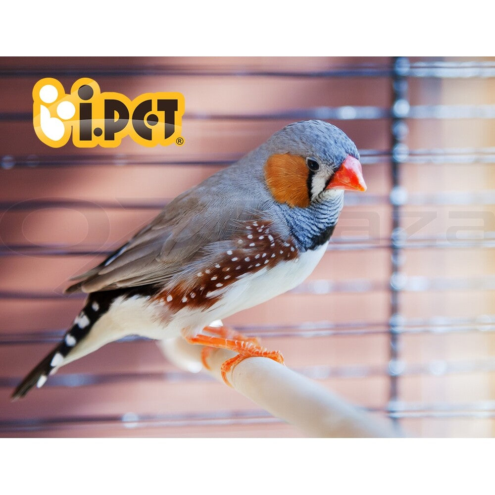 Large Bird Cage Aviary 173cm Travel Stand Budgie Parrot Toys