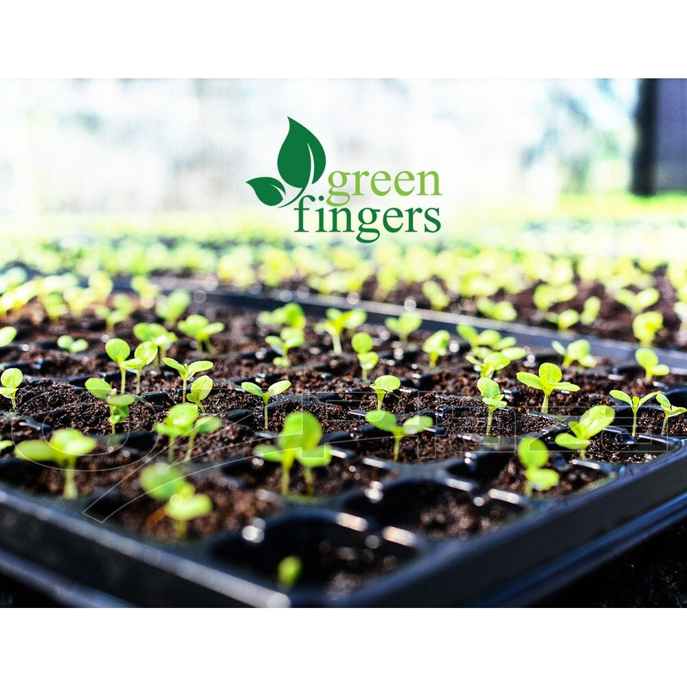 Fingers Grow Tent Kit 6" Hydroponics Ventilation Fan Carbon Filter