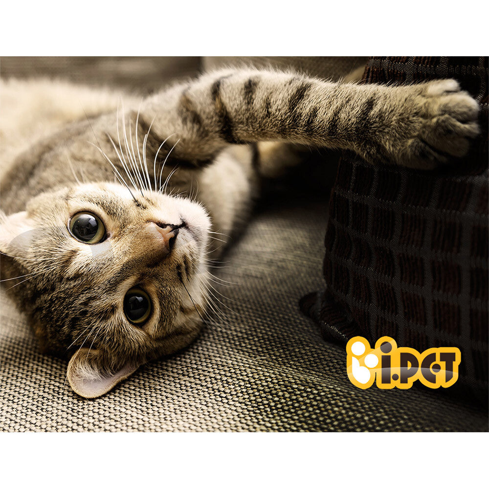 Cat Tree Scratching Post Tower 92cm Wooden Condo Bed
