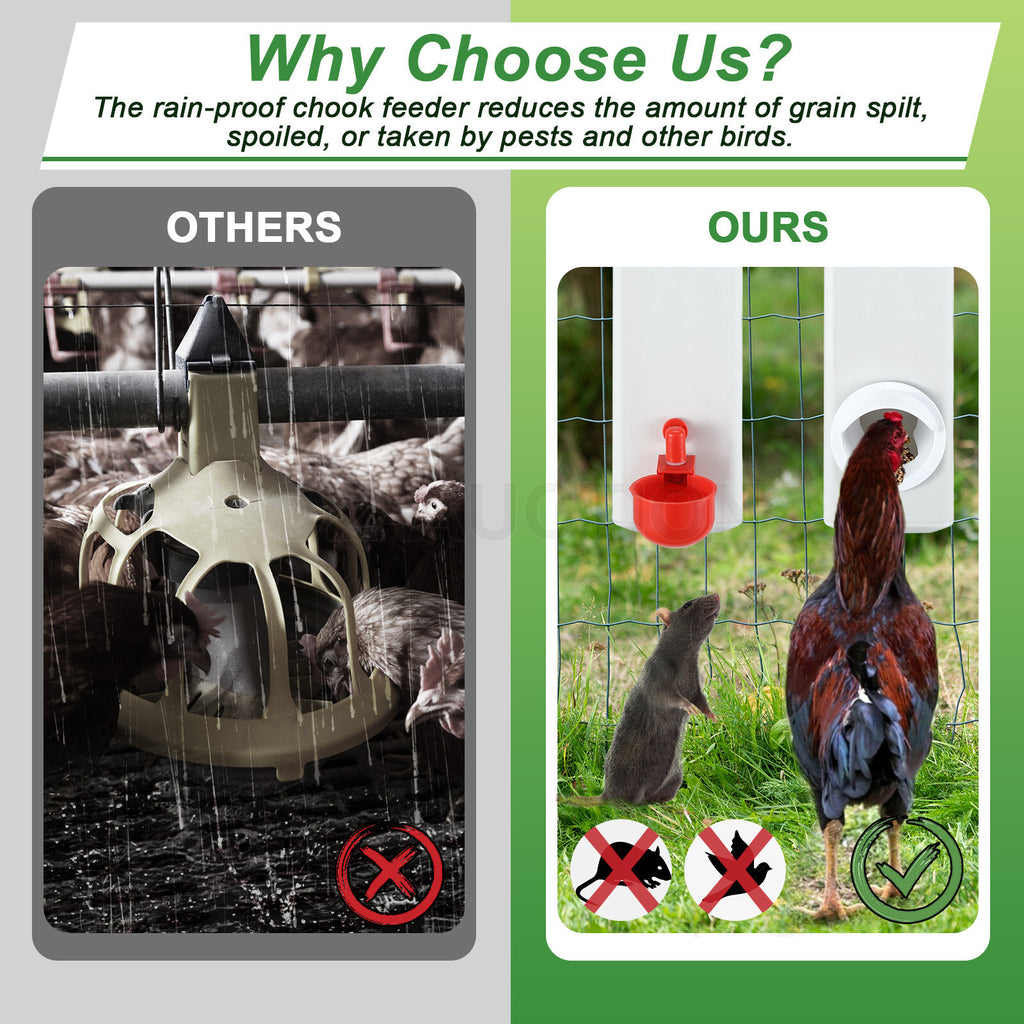 4L Automatic Chicken Water & Food Dispenser – Poultry Feeder