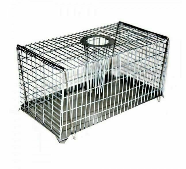 Multi-Catch Rat Trap – Large, Easy Rodent Solution