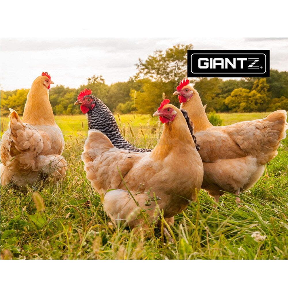 Automatic Chicken Feeder Coop Treadle Self-Opening Poultry