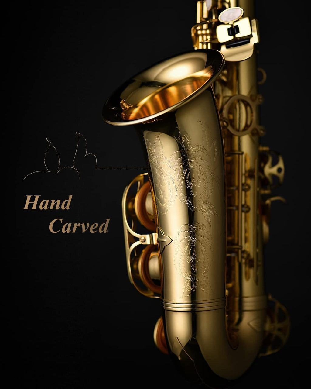Eastar E Flat Alto Saxophone Gold Lacquered Student Sax Band
